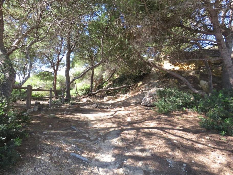Coqueto Alojamiento Con Banera De Hidromasaje Appartamento Tarragona Esterno foto